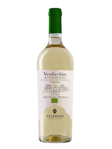 Verdicchio-di-castelli-di-jesi-BIO